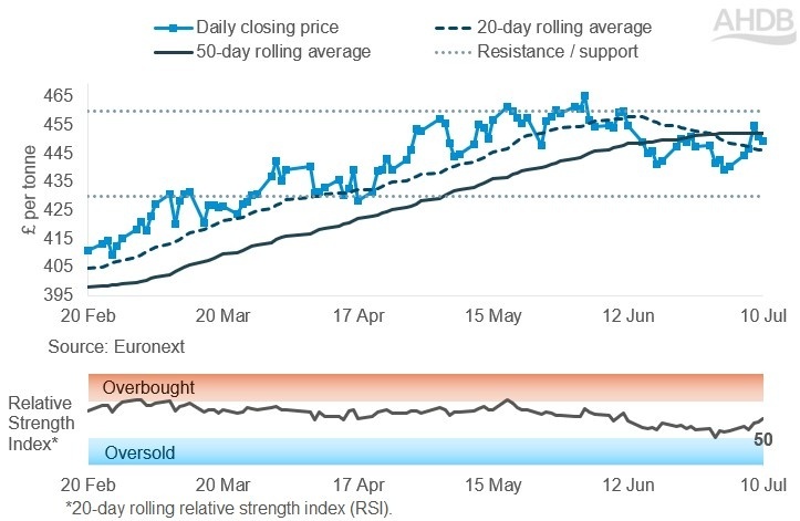 Line graph of Rapeseed futures Nov-26 contract prices over the past six months.